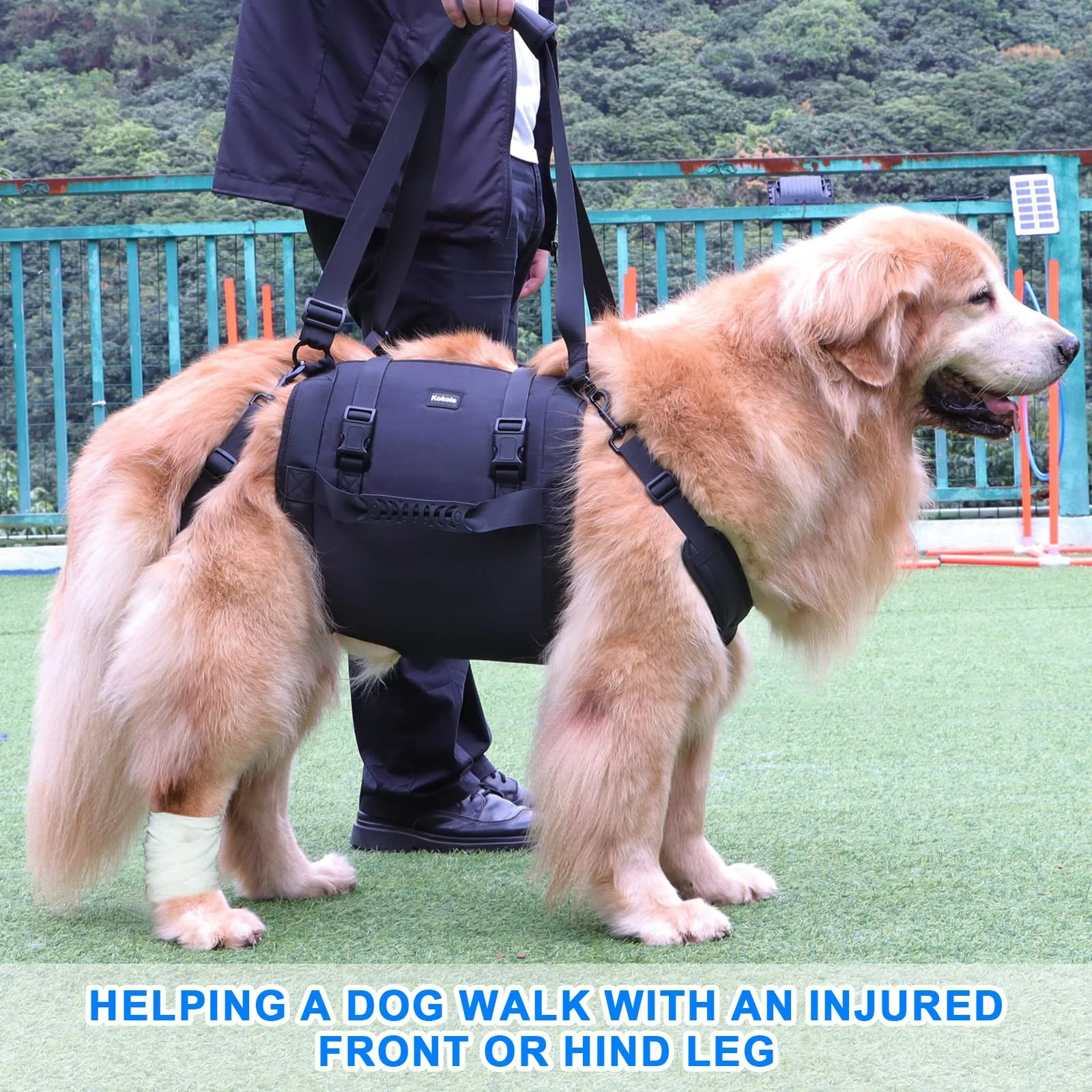 Outdoor Convenient Leg Support Rehabilitation Dog Breast Strap Aids recovery and mobility. Easy use and support for your — photo 1