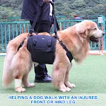 Outdoor Convenient Leg Support Rehabilitation Dog Breast Strap Aids recovery and mobility. Easy use and support for your — photo 1