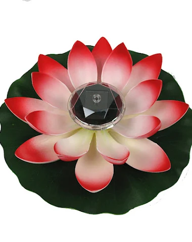 Image product - 3