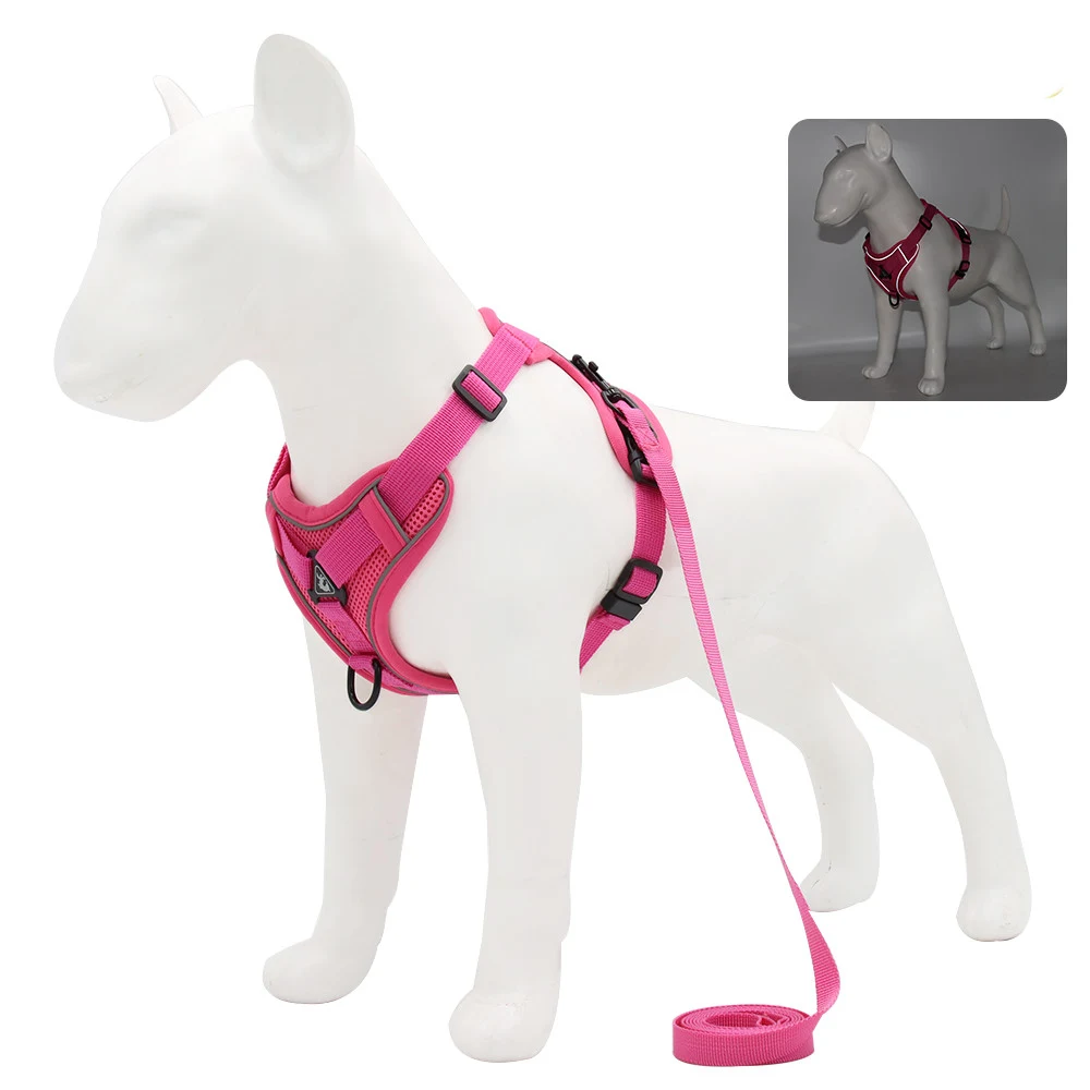 Title 10, Leashing Rope Vest Style Pet Dog Chain for Cont...