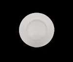 6 inch bone plate