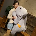 60cm