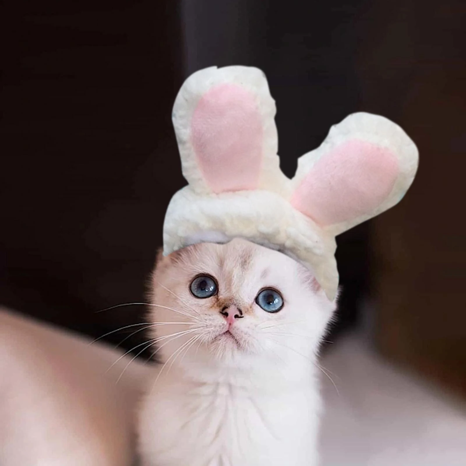Title 2, Pet Cat Hat Outfit Adjustable Warm Hat Christma...