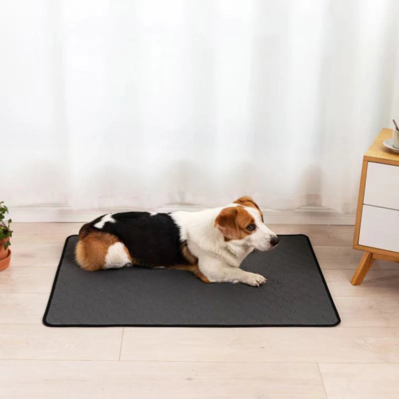 Title 4, Alfombra impermeable para perros, absorbente, p...
