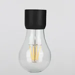 Black Light bulb