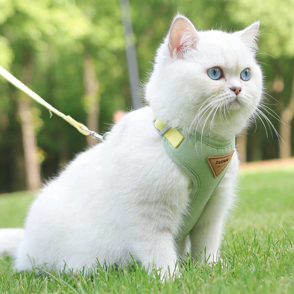 Title 19, Nylon Cat Harness Leash Set Mesh Breathable Pup...
