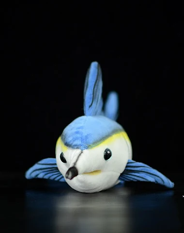 Image product - 2