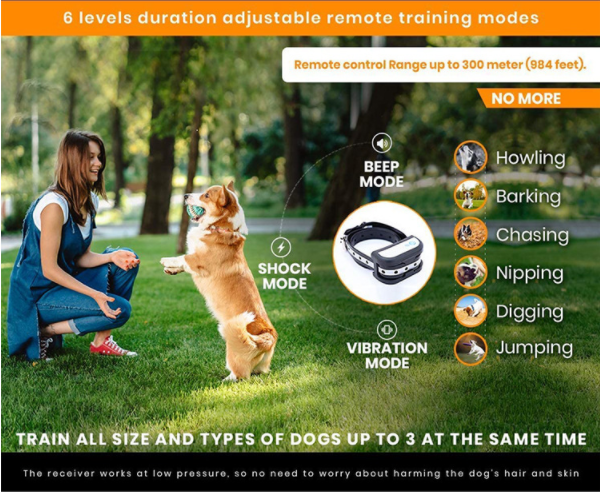 product image - 13