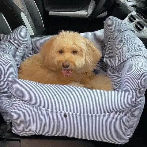 Title 4, Car Kennel Pet Co-driving Seat