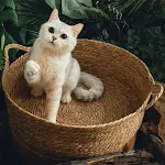 miniatures image - 0