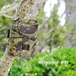 miniatures image - 16