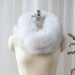 Blue fox