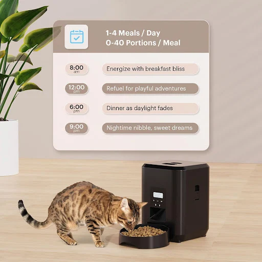 New 2L Pet Feeder Cat Dog Smart Food Dispenser Regular Quantitative Feeding With Audio Recording Feeding Bowls Pet Suppl — photo 6