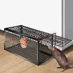 miniatures image - 0