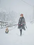 miniatures image - 13