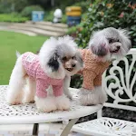 miniatures image - 38