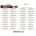 Brown03