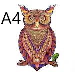 Owl A4