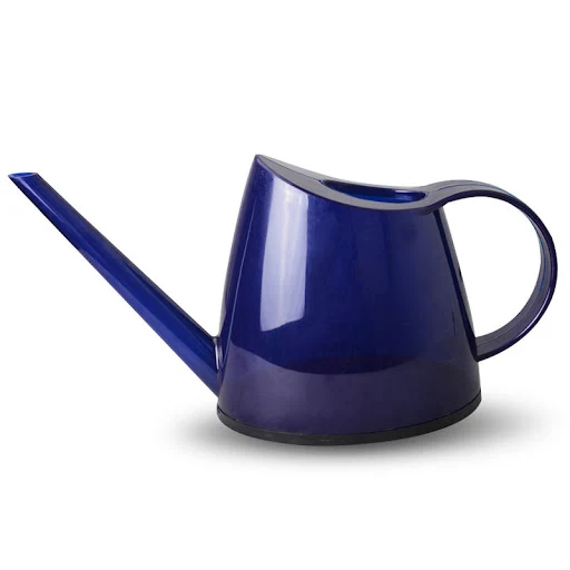 Title 10, Watering Pot Artifact simplifies plant care, pr...