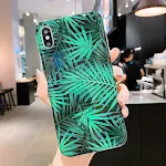 Plant leaf