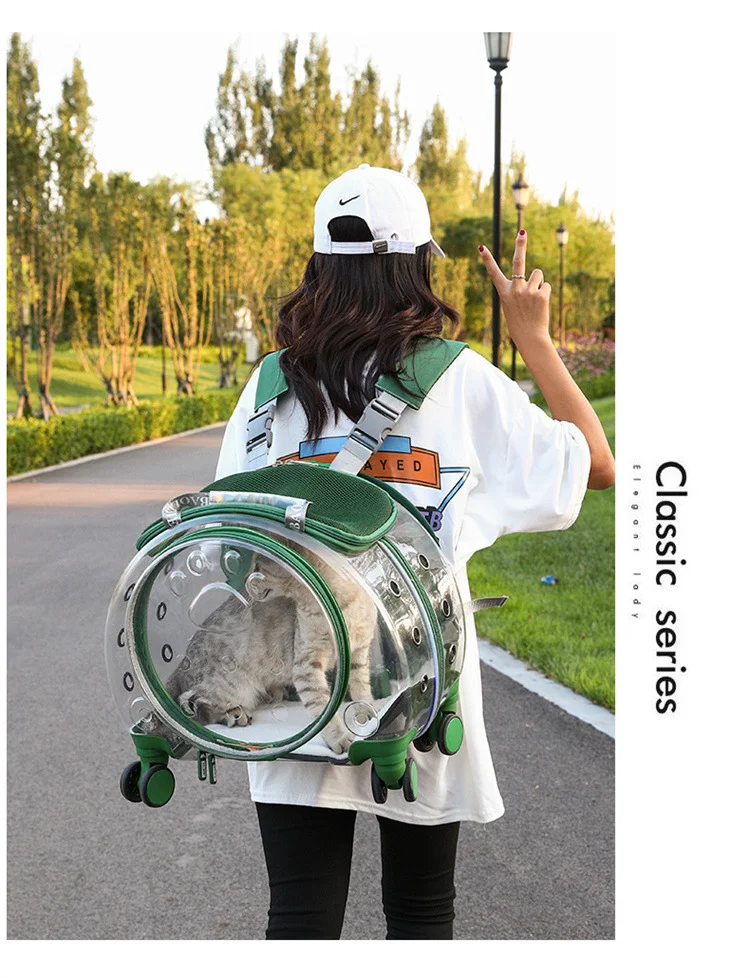 Title 24, Small Handbag Cats Carriers Transportin Outdoor...
