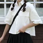Shirt Skirt