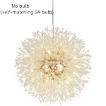 No bulb