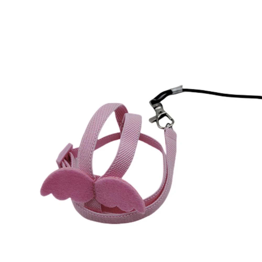 Title 2, Ultra-light Parrot Bird Flying Traction Rope St...