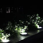 miniatures image - 2