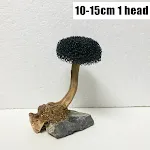 10-15cm 1 heads