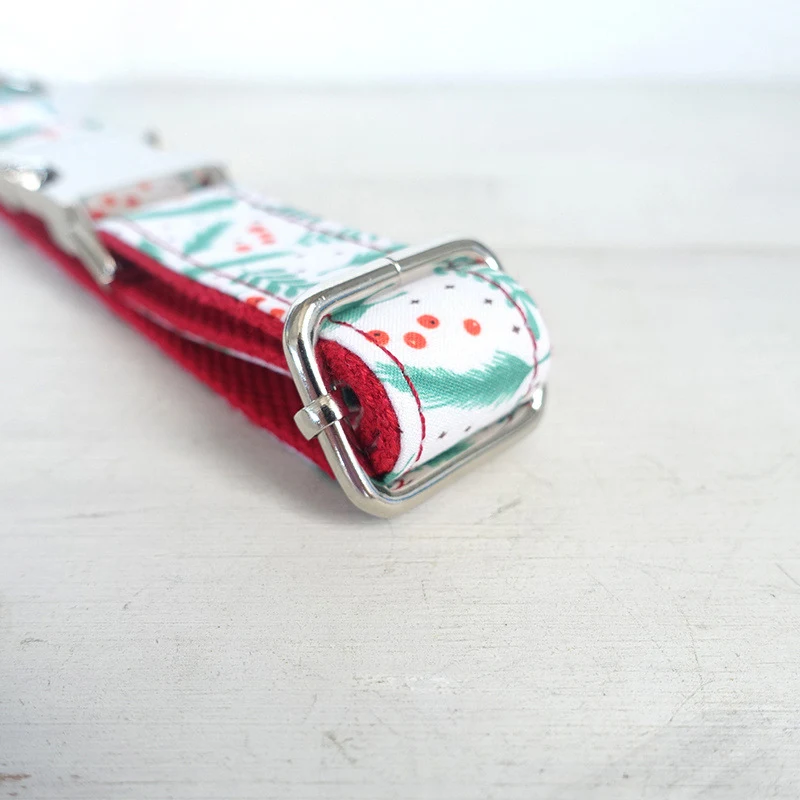 Title 1, Christmas Dog Collar Dress your dog for the hol...