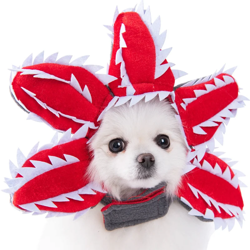 Title 13, Halloween Dog Clothes Funny Transformation Crea...