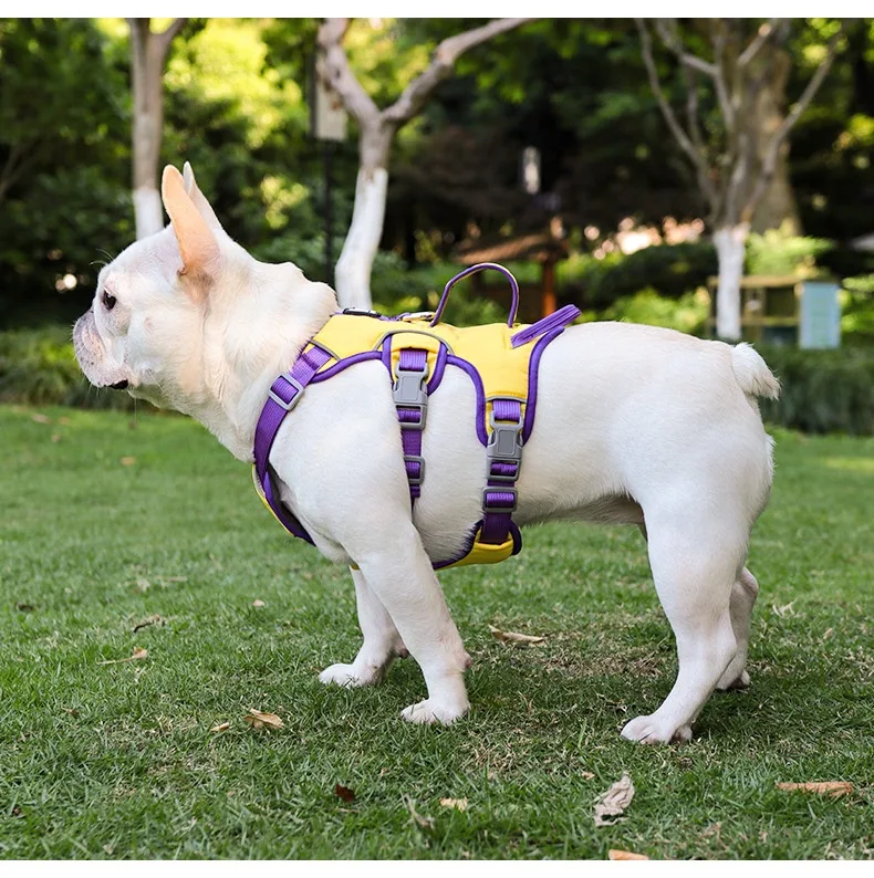 Title 5, Medium and Small Pet Harness Comfortable and Sa...