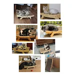 miniatures image - 13