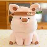 26cm