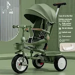 D Avocado Green