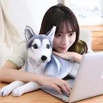 Boneca de pelúcia husky de desenho animado super fofa, macia e abraçável. O presente perfeito para crianças e amantes de cachorros, ideal para brincar. — foto 6