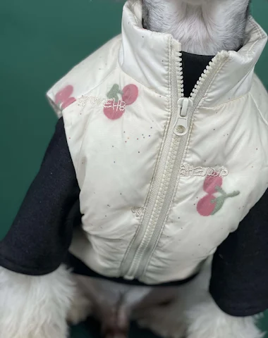 Image product - 2