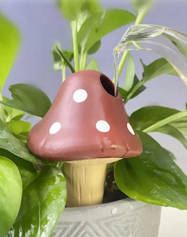 Image product - 2
