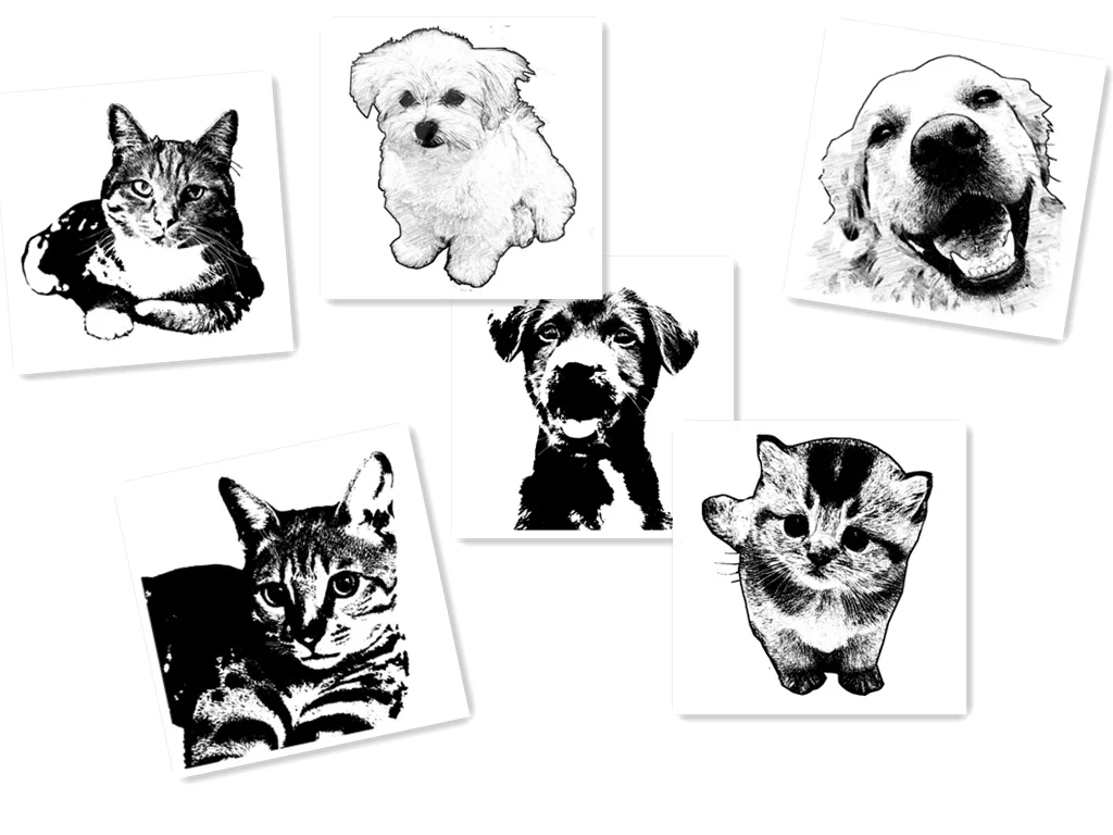 Chaveiro personalizado com foto e nome do seu pet gravados. Um presente especial e uma lembrança carinhosa do seu amiguinho peludo. — foto 2
