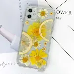 Calendula