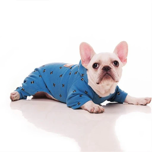 Title 5, Pet Hoodie Keep your dog warm and cozy with thi...