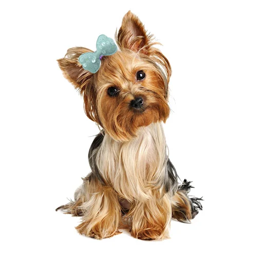 product image - 2