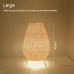 Large with warm LED