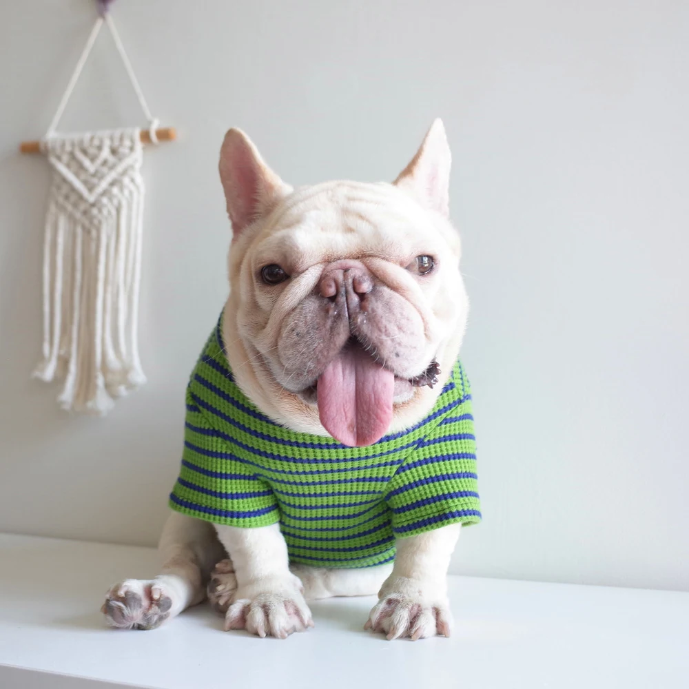 Title 1, Nieuwe Huisdierkleding Hond Wafel Stretch Stree...