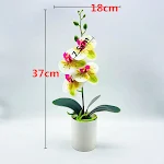 miniatures image - 0