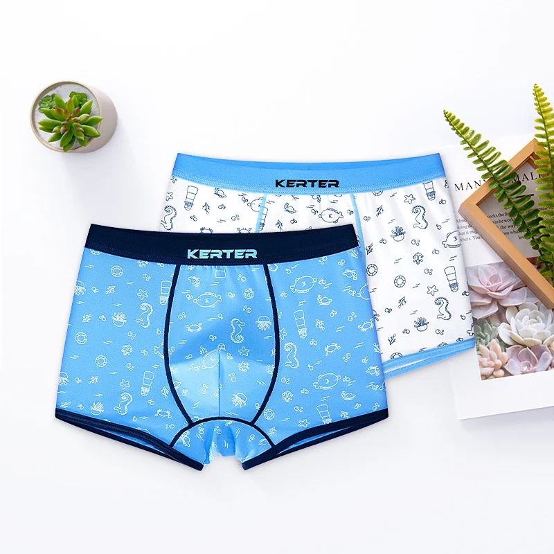 Title 5, Boys Boxer Underwear Cotton Childrens Underwe...