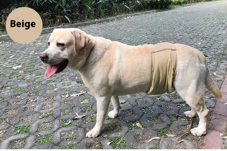 Title 5, Pet Physiological Belt Special Diaper Provides ...