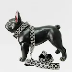 Collar M