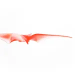 miniatures image - 1
